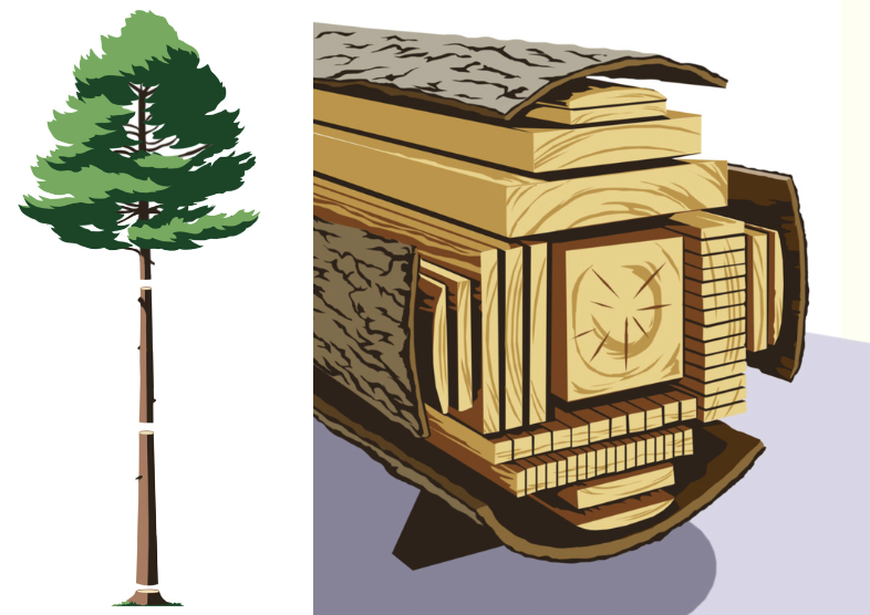 Give wood pellet more attention