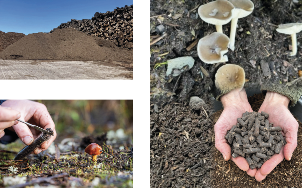 Land Energy partners Re-Genus