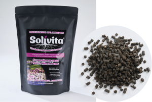 Solivita