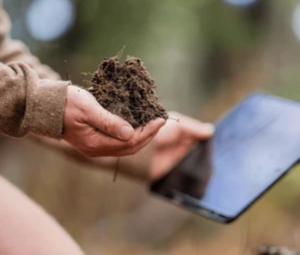 Biological fertiliser over chemical fertiliser